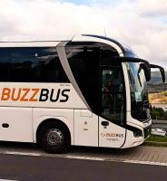 Kierowca autobusu w turystyce- Katowice